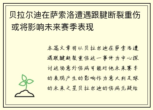 贝拉尔迪在萨索洛遭遇跟腱断裂重伤 或将影响未来赛季表现